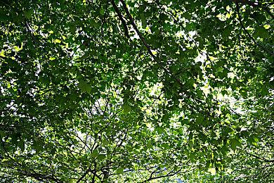 《占领火星》新宣传片 抢先体验版5月11日推出